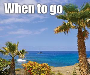 Playa Fañabé Tenerife