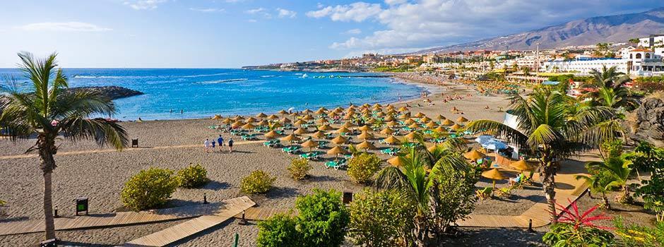 beskyldninger indsprøjte miljøforkæmper Playa de las Américas – Tenerife
